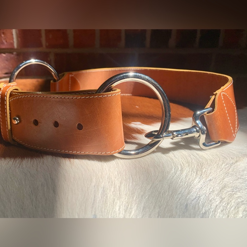 Y2K Twenty-Fifty Brown Wide Leather Belt With Silver Hoops